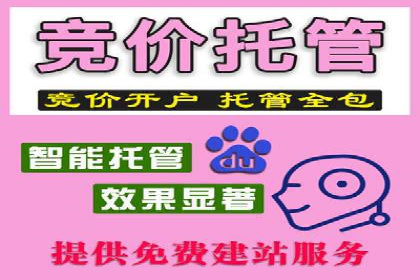 谷歌SEM案例研究：数据分析与效果评估